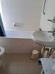 Pandan Valley (D21), Condominium #585438231